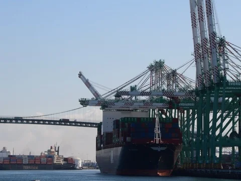 Cargo ship 스톡 동영상 77149336