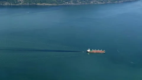 Cargo Ship - Freight Transport - Maritime Shipping - Ocean Vessel Stock Footage 346787052