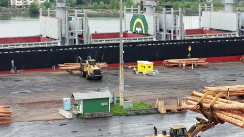 Cargo ship with green yellow logo docked at port, wheel loader moving timber Stock Footage 336271093