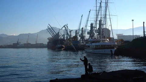 Cargo ship-lifting cranes in the harbor Stock Footage 102601340