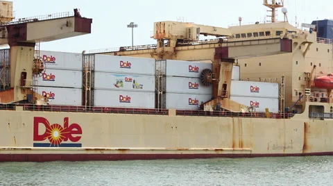 Cargo ship loading shipping Container Stock Footage 49710710