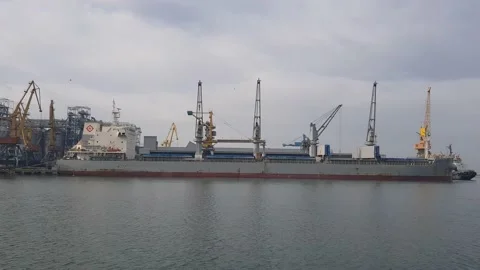 The cargo ship is moored in the port. Cranes unload and load cargo onto the ship Stock Footage 149503266