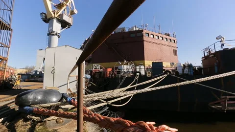 Cargo ship moored in port. Panoramic view from the shore on a cargo ship Stock Footage 92494888