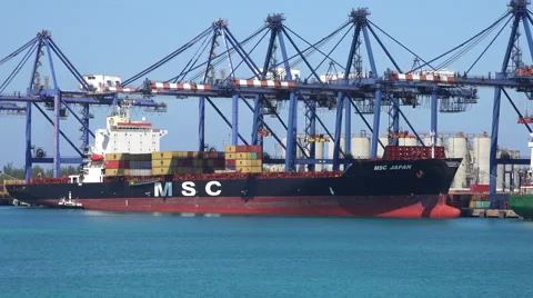 Cargo ship MSC Japan loading in Freeport 4K Stock Footage 68522565