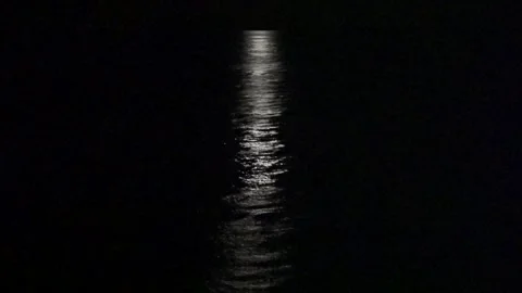 Cargo Ship Navigates under Moonshine Stock Footage 240888637