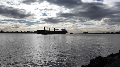 Cargo Ship on Newcastle Harbour Stock Footage 313460428