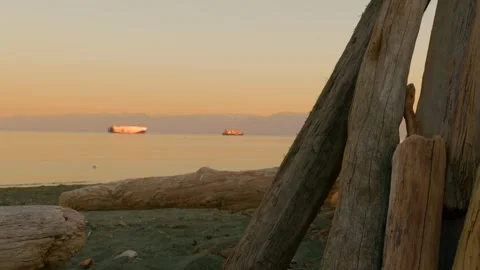 Cargo ship on ocean horizon framed by beach driftwood Видео 337996188