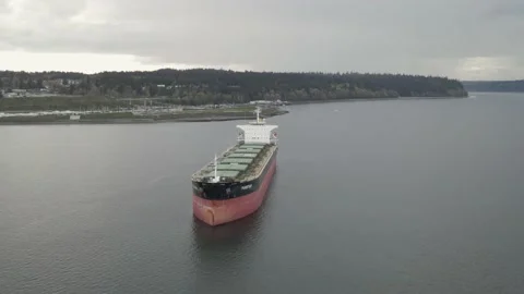 Cargo Ship Overcast Flyover 動画素材 184317733