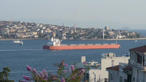 Cargo ship passing Bosphorus strait Video stock 321551212