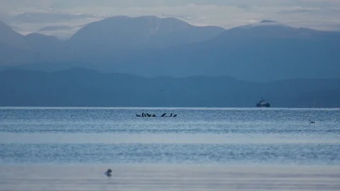 Cargo Ship passing in front of the coastal mountains Stock Footage 124672596