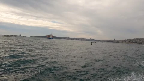 Cargo Ship Passing Through Bosphorus Strait. Bulk Carrier Ship, Bosphorus Strait 库存影片 330492547