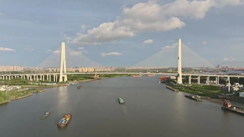 Cargo Ship Passing Under Modern Cable-Stayed Bridge on Huangpu River in Shanghai Stock Footage 312728416