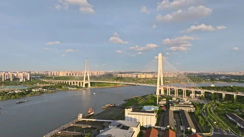 Cargo Ship Passing Under Modern Cable-Stayed Bridge on Huangpu River in Shanghai Stock Footage 312728499