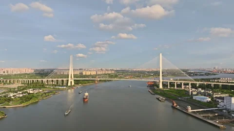 Cargo Ship Passing Under Modern Cable-Stayed Bridge on Huangpu River in Shanghai Stock Footage 312728598