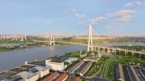 Cargo Ship Passing Under Modern Cable-Stayed Bridge on Huangpu River in Shanghai Stock Footage 312728603