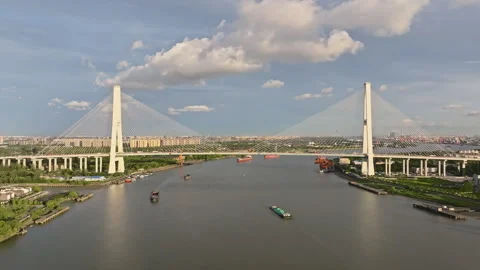 Cargo Ship Passing Under Modern Cable-Stayed Bridge on Huangpu River in Shanghai Stock Footage 312729125