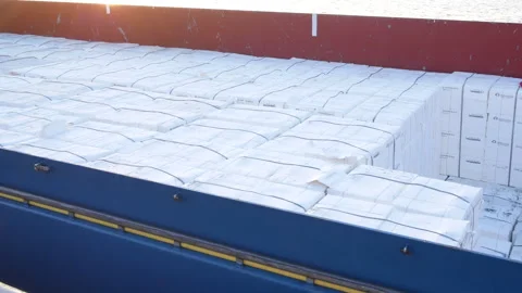 Cargo ship with pulp moving Stock Footage 293898920