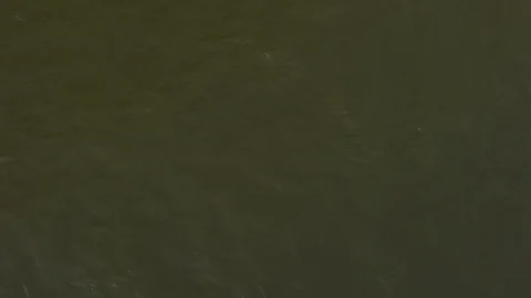 Cargo ship on the Rhine Stock Footage 109124446