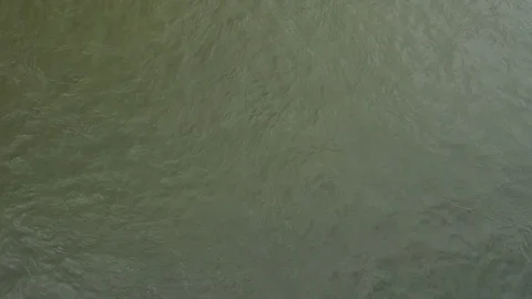 Cargo ship on the Rhine 스톡 동영상 109160861