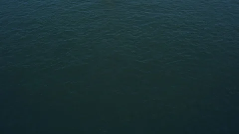 Cargo ship on the Rhine Stock Footage 113918815