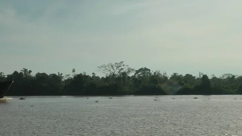 Cargo Ship in the river of Borneo Stock Footage 106110575