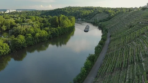 Cargo Ship on a river at sundown in between vineyards and forest Stock Footage 90663294