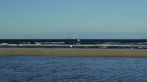Cargo ship sailing on the horizon with seagulls flying over the beach 스톡 동영상 339509801