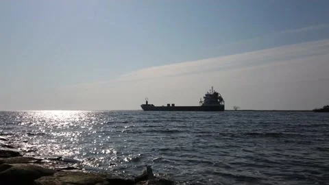 Cargo ship sailing in the sea Stock Footage 144129861