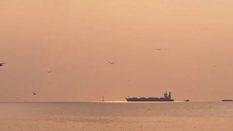 Cargo ship sailing at sunset Stock Footage 248049847