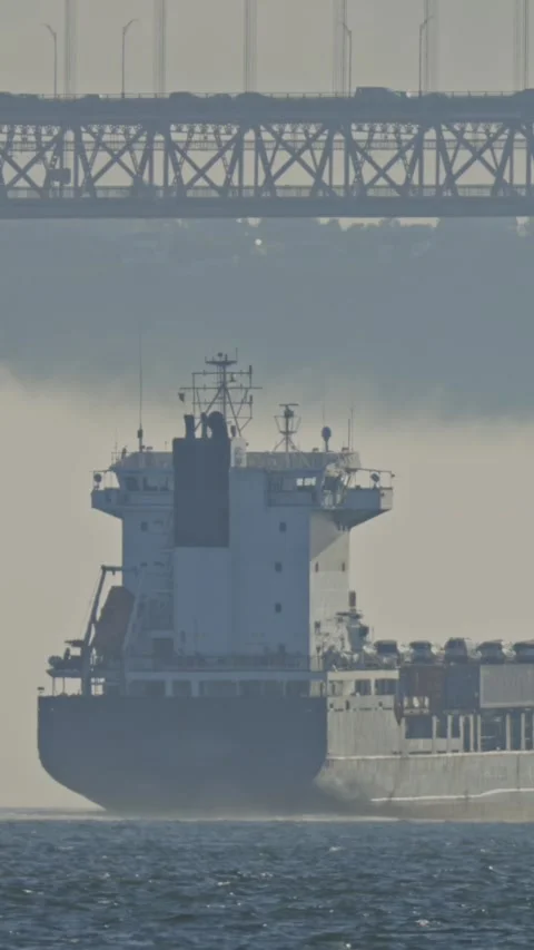 Cargo ship sails undeer the bridge Stock Footage 329613563