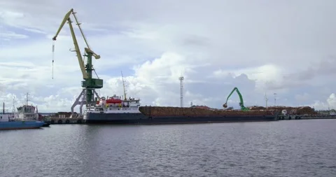 Cargo ship at timber port full of logs l... | Stock Video | Pond5