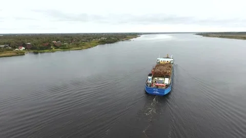 Cargo ship with a tree on the Russian river. bank, barge, beautiful, boat, cargo Vídeo Stock 86845318