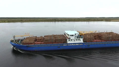 Cargo ship with a tree on the Russian river. bank, barge, beautiful, boat, cargo Vídeo Stock 86845411