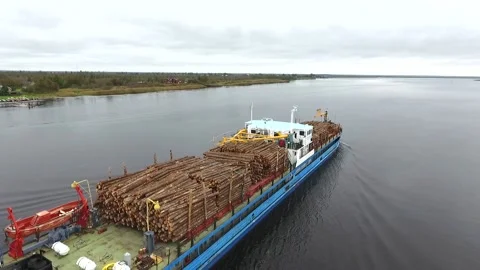 Cargo ship with a tree on the Russian river. bank, barge, beautiful, boat, cargo Vídeo Stock 86845436