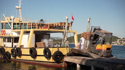 Cargo Ship Unloading with Forklift at Dock on a Sunny Day with Clear Skies Stock Footage 278732453