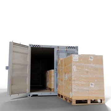Cargo Shipping Container Loaded with Pallets and Cardboard Boxes for Logist.. Stock Illustration