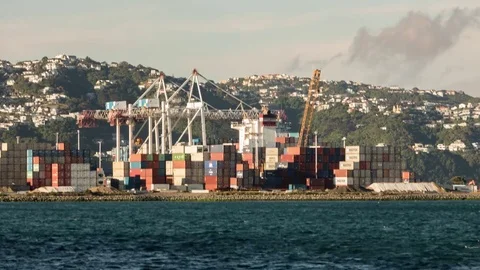 Cargo Shipping Containers Time Lapse 4k Wellington, New Zealand Vídeo Stock 82987151