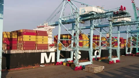 Cargo Shipping Cranes Stock Footage 186350996