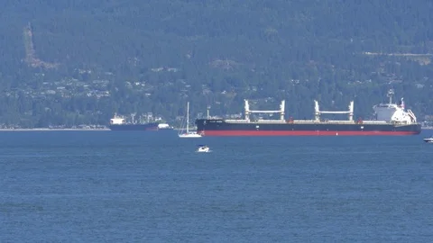 Cargo ships on anchor. 库存影片 86171461