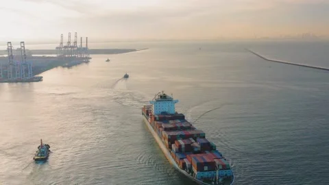 Cargo Ships Harbor freighters docking containerization freight port terminal Stock Footage 336446137