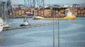 Cargo ships in industrial port HD Footage