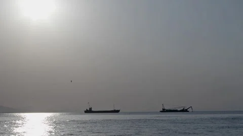 Cargo Ships Move in the Foggy Cloudless Ocean Stock Footage 307450495