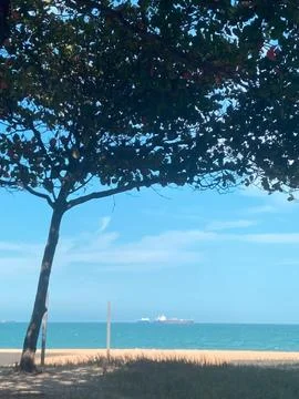 Cargo Ships on the Ocean Framed by Tree Leaves Stock Photos