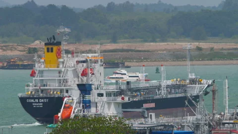 Cargo tanker ship Oxalis Daisy sailing in Singapore harbor Stock Footage 340289344
