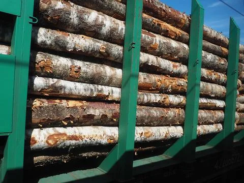 Cargo timber train. Open train carriage with a bundle of timber for export. D Stock Photos