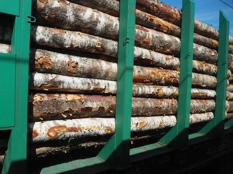 Cargo timber train. Open train carriage with a bundle of timber for export. D Stock Photos