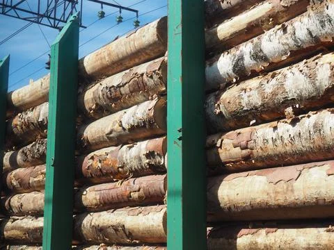 Cargo timber train. Open train carriage with a bundle of timber for export. D Stock Photos