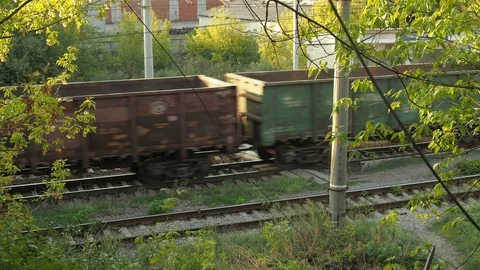 Cargo train between the trees 스톡 동영상 115507021