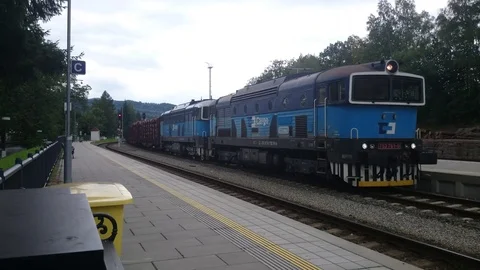 Cargo train full of cut logs rolls through a outdoor train station Vídeo Stock 116166206
