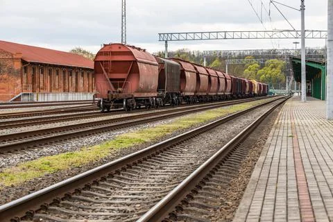 Cargo train platform with the container. Railroad depot Stock Photos